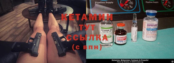 apvp Бородино