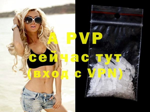 apvp Бородино