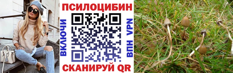 Галлюциногенные грибы Magic Shrooms  где купить наркотик  Ковдор 